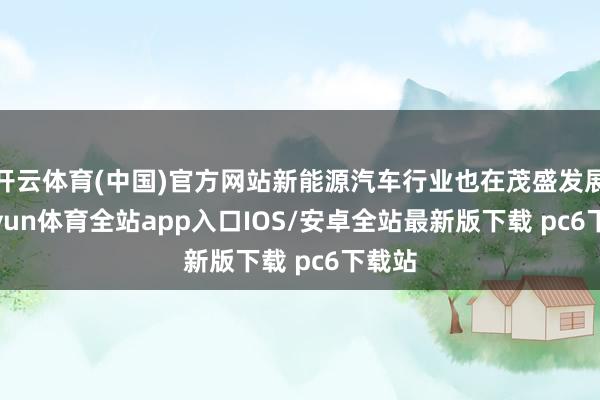 开云体育(中国)官方网站新能源汽车行业也在茂盛发展-kaiyun体育全站app入口IOS/安卓全站最新版下载 pc6下载站