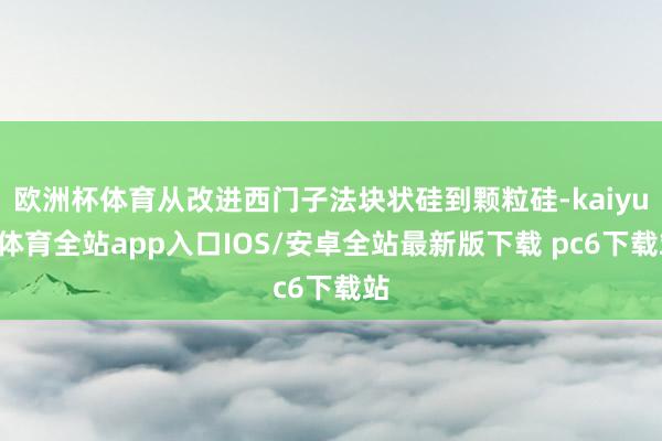 欧洲杯体育从改进西门子法块状硅到颗粒硅-kaiyun体育全站app入口IOS/安卓全站最新版下载 pc6下载站