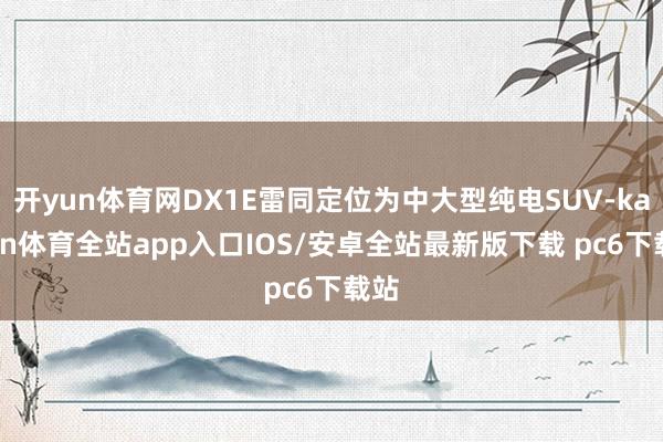 开yun体育网DX1E雷同定位为中大型纯电SUV-kaiyun体育全站app入口IOS/安卓全站最新版下载 pc6下载站