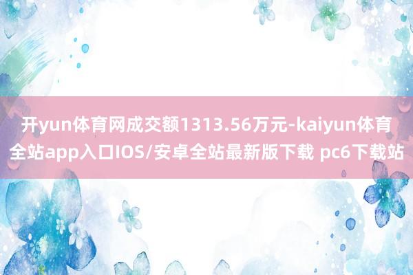 开yun体育网成交额1313.56万元-kaiyun体育全站app入口IOS/安卓全站最新版下载 pc6下载站