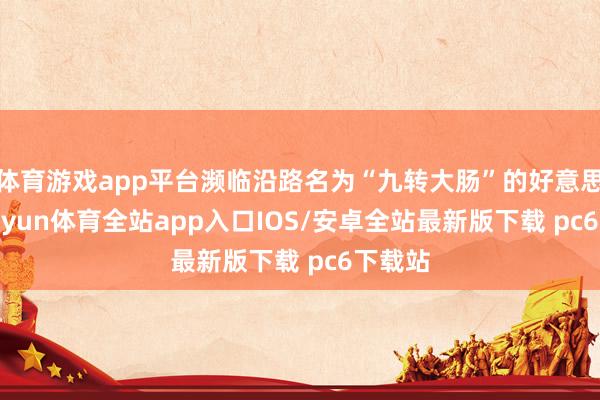 体育游戏app平台濒临沿路名为“九转大肠”的好意思食-kaiyun体育全站app入口IOS/安卓全站最新版下载 pc6下载站