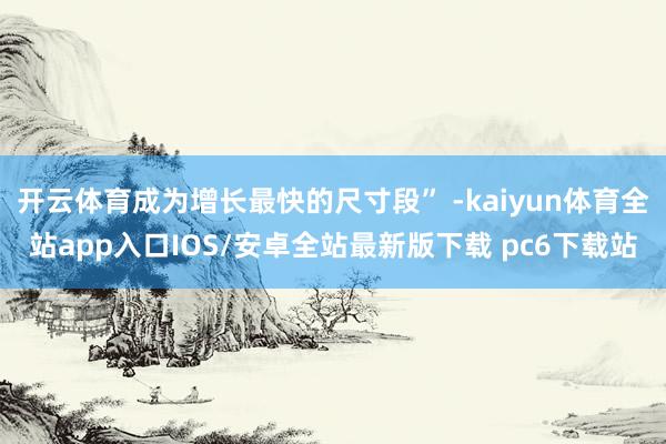 开云体育成为增长最快的尺寸段” -kaiyun体育全站app入口IOS/安卓全站最新版下载 pc6下载站