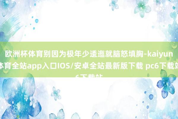 欧洲杯体育别因为极年少逶迤就脑怒填胸-kaiyun体育全站app入口IOS/安卓全站最新版下载 pc6下载站