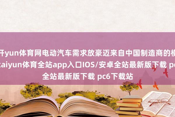 开yun体育网电动汽车需求放豪迈来自中国制造商的横蛮竞争-kaiyun体育全站app入口IOS/安卓全站最新版下载 pc6下载站