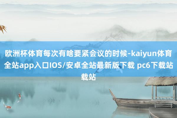 欧洲杯体育每次有啥要紧会议的时候-kaiyun体育全站app入口IOS/安卓全站最新版下载 pc6下载站