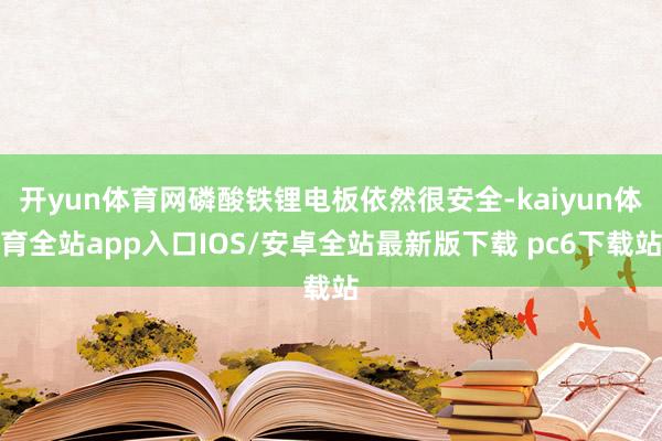 开yun体育网磷酸铁锂电板依然很安全-kaiyun体育全站app入口IOS/安卓全站最新版下载 pc6下载站