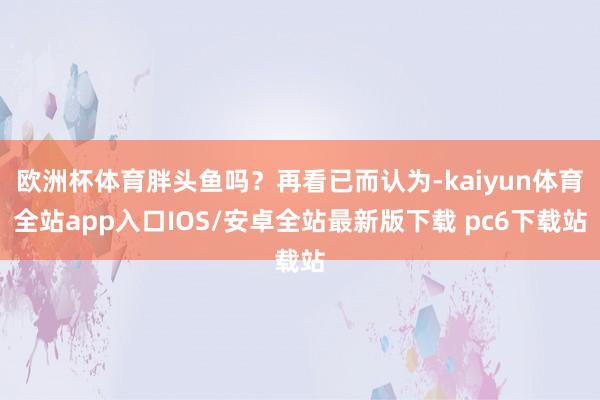 欧洲杯体育胖头鱼吗？再看已而认为-kaiyun体育全站app入口IOS/安卓全站最新版下载 pc6下载站