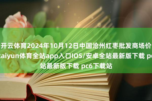 开云体育2024年10月12日中国沧州红枣批发商场价钱行情-kaiyun体育全站app入口IOS/安卓全站最新版下载 pc6下载站