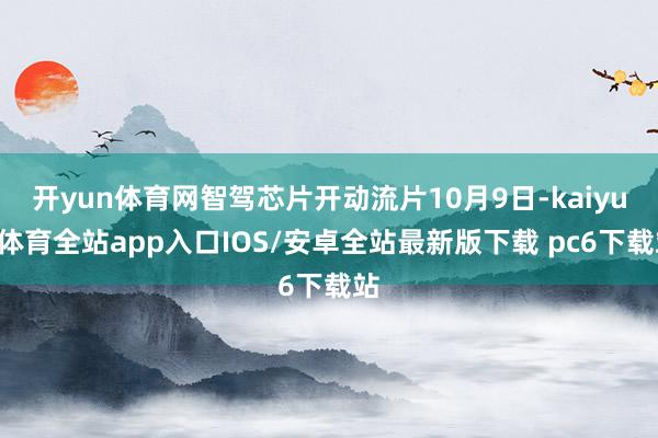 开yun体育网智驾芯片开动流片10月9日-kaiyun体育全站app入口IOS/安卓全站最新版下载 pc6下载站