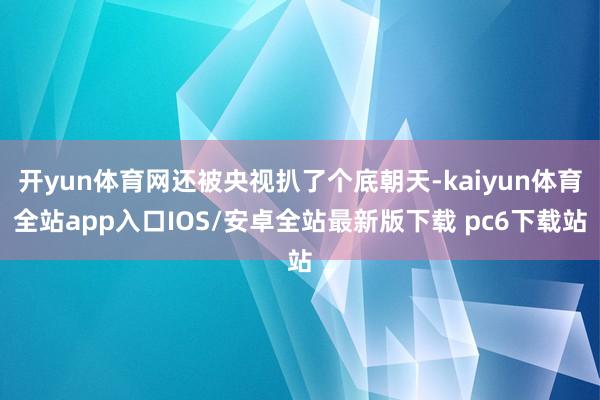 开yun体育网还被央视扒了个底朝天-kaiyun体育全站app入口IOS/安卓全站最新版下载 pc6下载站