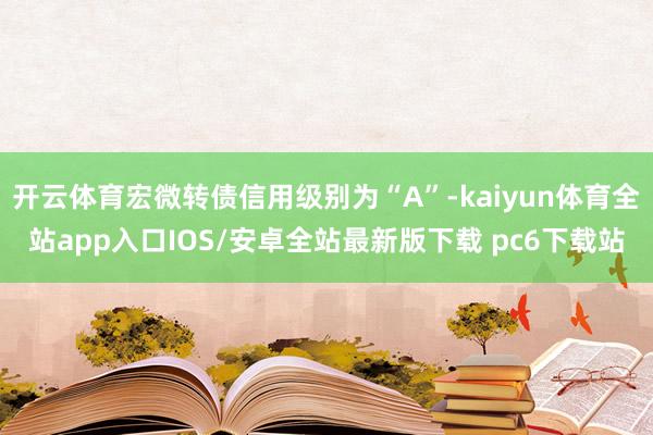 开云体育宏微转债信用级别为“A”-kaiyun体育全站app入口IOS/安卓全站最新版下载 pc6下载站