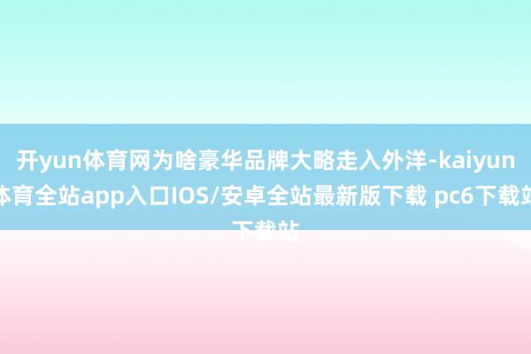 开yun体育网为啥豪华品牌大略走入外洋-kaiyun体育全站app入口IOS/安卓全站最新版下载 pc6下载站