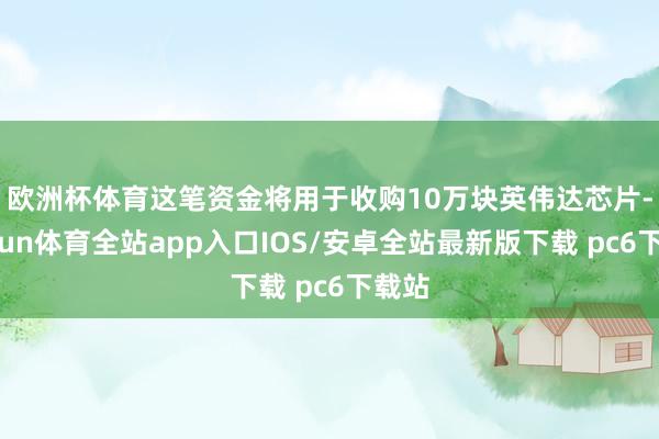 欧洲杯体育　　这笔资金将用于收购10万块英伟达芯片-kaiyun体育全站app入口IOS/安卓全站最新版下载 pc6下载站