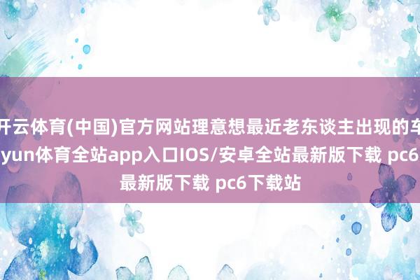 开云体育(中国)官方网站理意想最近老东谈主出现的车祸-kaiyun体育全站app入口IOS/安卓全站最新版下载 pc6下载站