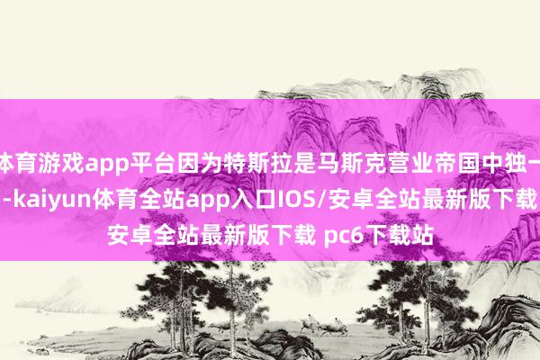 体育游戏app平台因为特斯拉是马斯克营业帝国中独一的上市公司-kaiyun体育全站app入口IOS/安卓全站最新版下载 pc6下载站