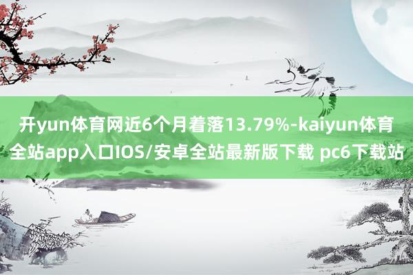 开yun体育网近6个月着落13.79%-kaiyun体育全站app入口IOS/安卓全站最新版下载 pc6下载站