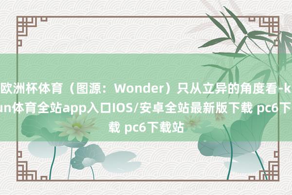 欧洲杯体育（图源：Wonder）只从立异的角度看-kaiyun体育全站app入口IOS/安卓全站最新版下载 pc6下载站